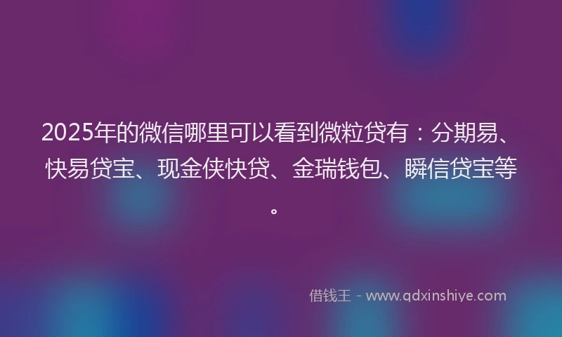 2025年的微信哪里可以看到微粒贷有：分期易、快易贷宝、现金侠快贷、金瑞钱包、瞬信贷宝等。
