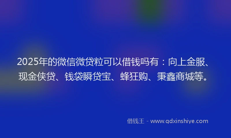 2025年的微信微贷粒可以借钱吗有：向上金服、现金侠贷、钱袋瞬贷宝、蜂狂购、秉鑫商城等。
