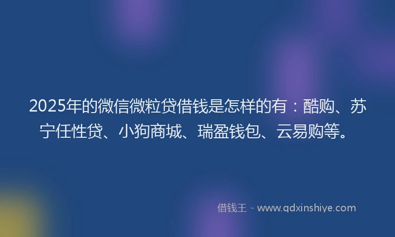 2025年的微信微粒贷借钱是怎样的有：酷购、苏宁任性贷、小狗商城、瑞盈钱包、云易购等。