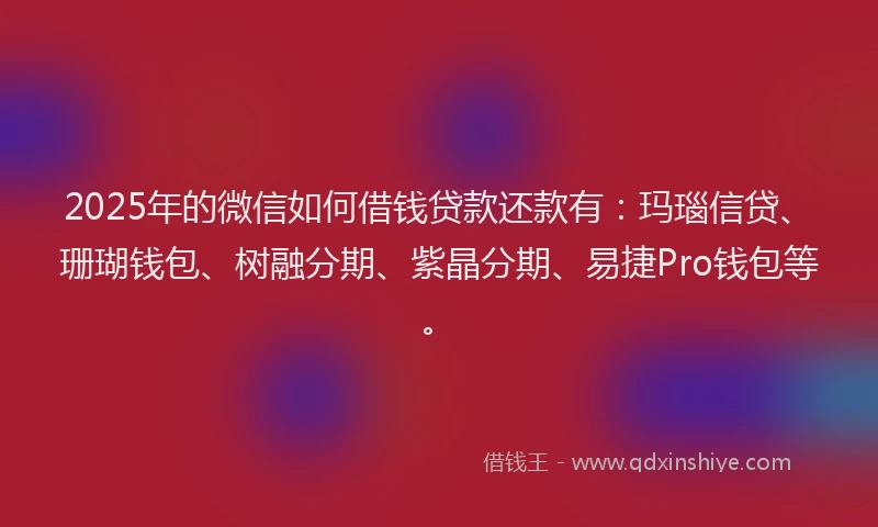 2025年的微信如何借钱贷款还款有：玛瑙信贷、珊瑚钱包、树融分期、紫晶分期、易捷Pro钱包等。