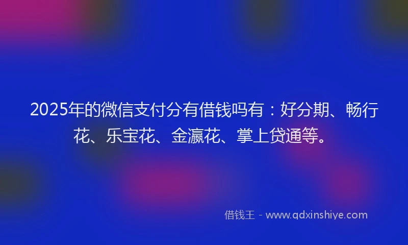 2025年的微信支付分有借钱吗有：好分期、畅行花、乐宝花、金瀛花、掌上贷通等。
