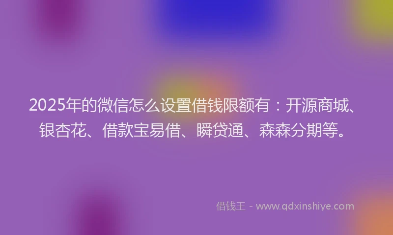 2025年的微信怎么设置借钱限额有：开源商城、银杏花、借款宝易借、瞬贷通、森森分期等。
