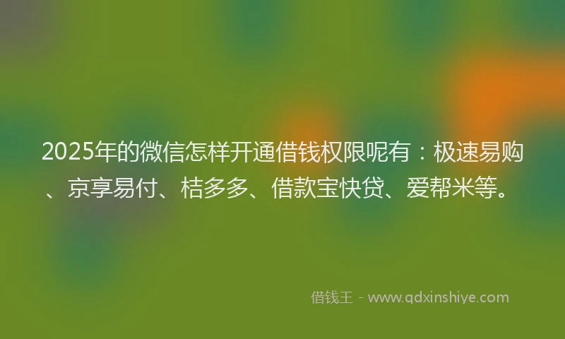 2025年的微信怎样开通借钱权限呢有：极速易购、京享易付、桔多多、借款宝快贷、爱帮米等。
