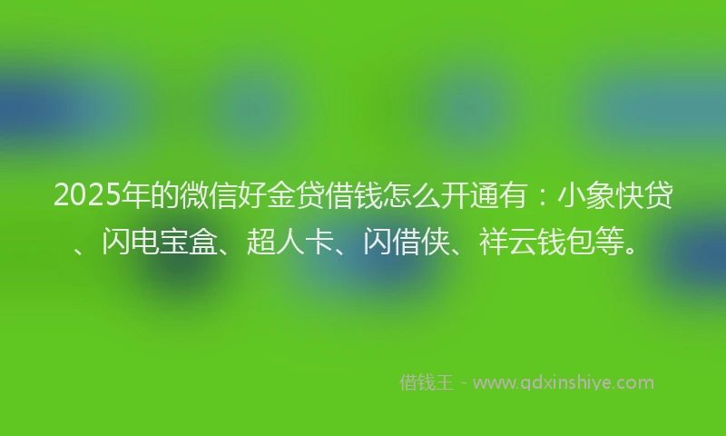 2025年的微信好金贷借钱怎么开通有：小象快贷、闪电宝盒、超人卡、闪借侠、祥云钱包等。