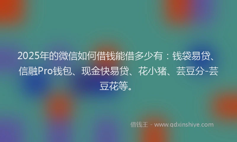 2025年的微信如何借钱能借多少有：钱袋易贷、信融Pro钱包、现金快易贷、花小猪、芸豆分-芸豆花等。