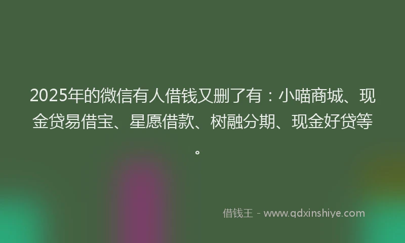 2025年的微信有人借钱又删了有：小喵商城、现金贷易借宝、星愿借款、树融分期、现金好贷等。