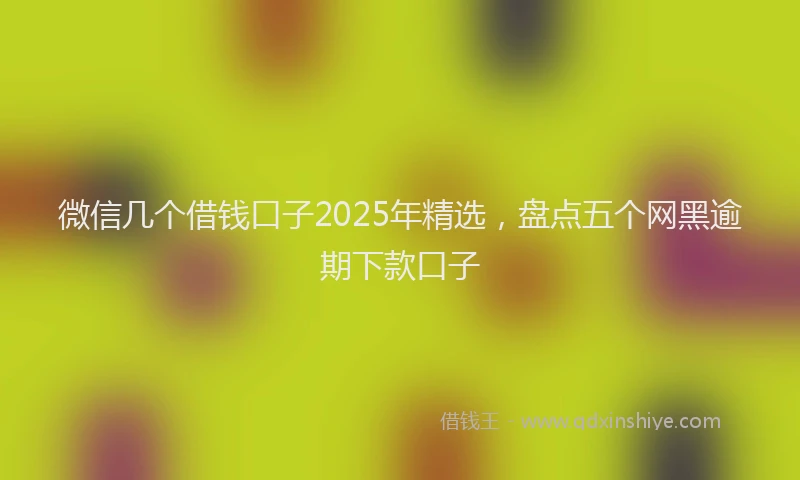 微信几个借钱口子2025年精选，盘点五个网黑逾期下款口子
