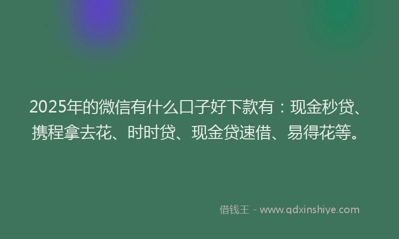 2025年的微信有什么口子好下款有：现金秒贷、携程拿去花、时时贷、现金贷速借、易得花等。