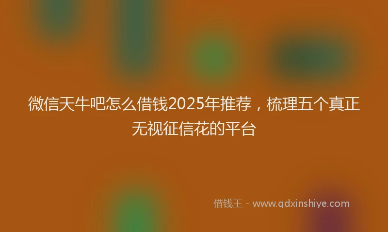 微信天牛吧怎么借钱2025年推荐，梳理五个真正无视征信花的平台