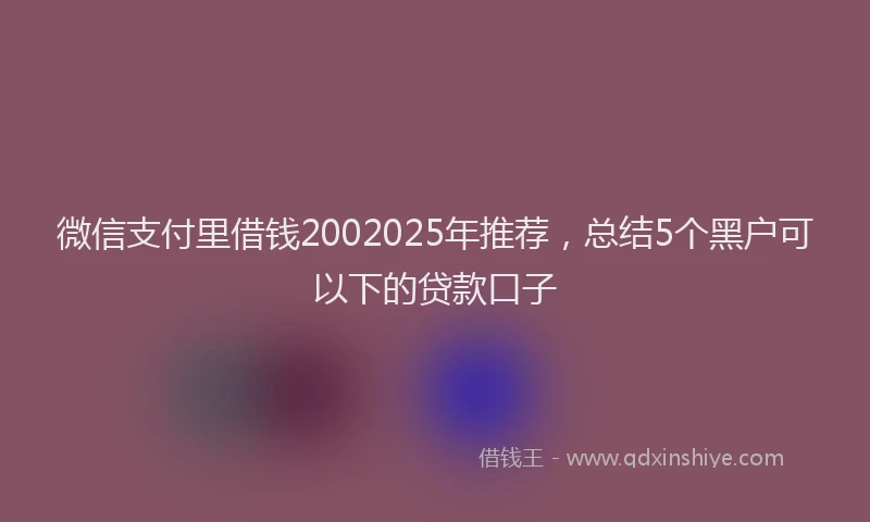 微信支付里借钱2002025年推荐，总结5个黑户可以下的贷款口子