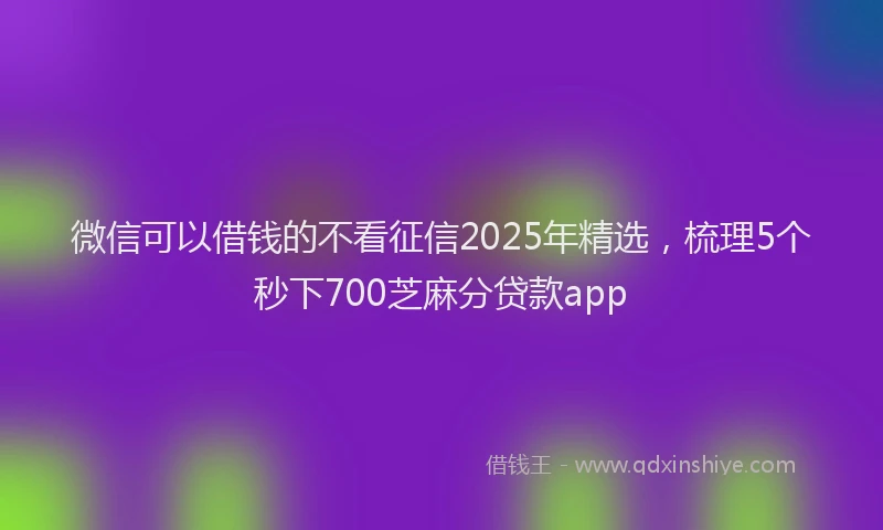 微信可以借钱的不看征信2025年精选，梳理5个秒下700芝麻分贷款app