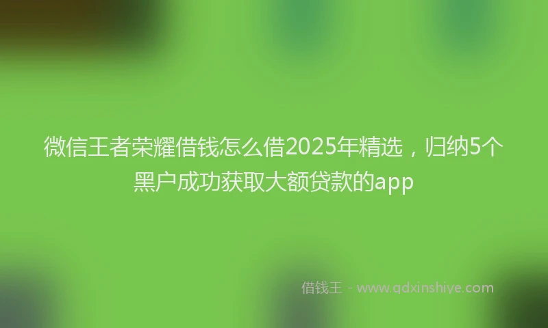 微信王者荣耀借钱怎么借2025年精选，归纳5个黑户成功获取大额贷款的app