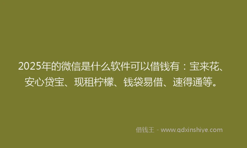 2025年的微信是什么软件可以借钱有：宝来花、安心贷宝、现租柠檬、钱袋易借、速得通等。