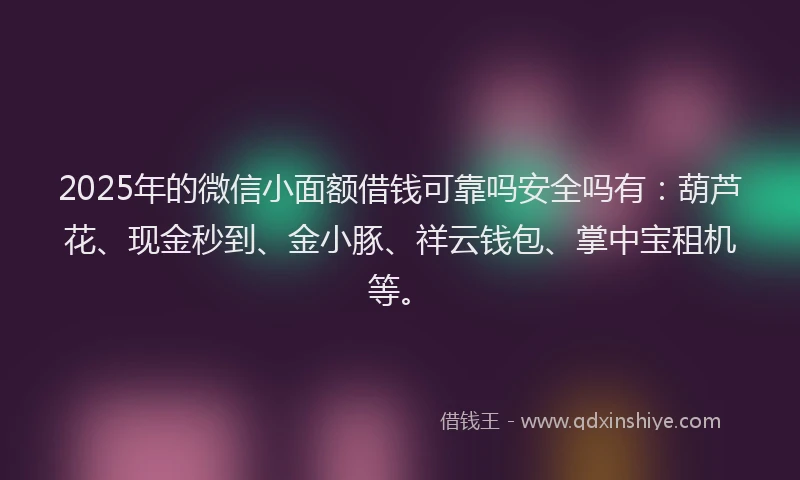 2025年的微信小面额借钱可靠吗安全吗有：葫芦花、现金秒到、金小豚、祥云钱包、掌中宝租机等。