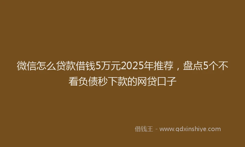 微信怎么贷款借钱5万元2025年推荐，盘点5个不看负债秒下款的网贷口子