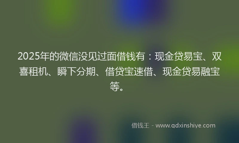 2025年的微信没见过面借钱有：现金贷易宝、双喜租机、瞬下分期、借贷宝速借、现金贷易融宝等。