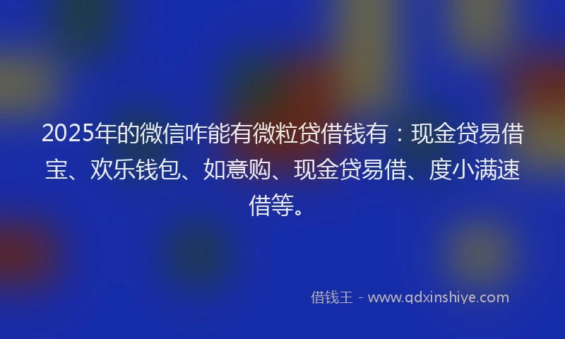 2025年的微信咋能有微粒贷借钱有：现金贷易借宝、欢乐钱包、如意购、现金贷易借、度小满速借等。