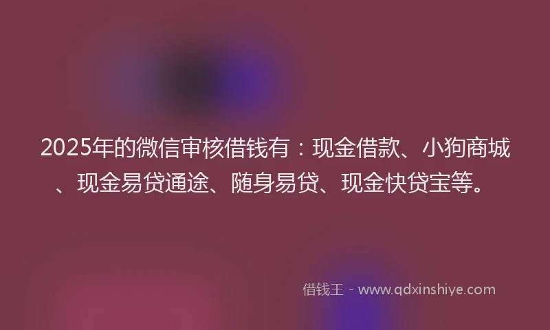 2025年的微信审核借钱有：现金借款、小狗商城、现金易贷通途、随身易贷、现金快贷宝等。