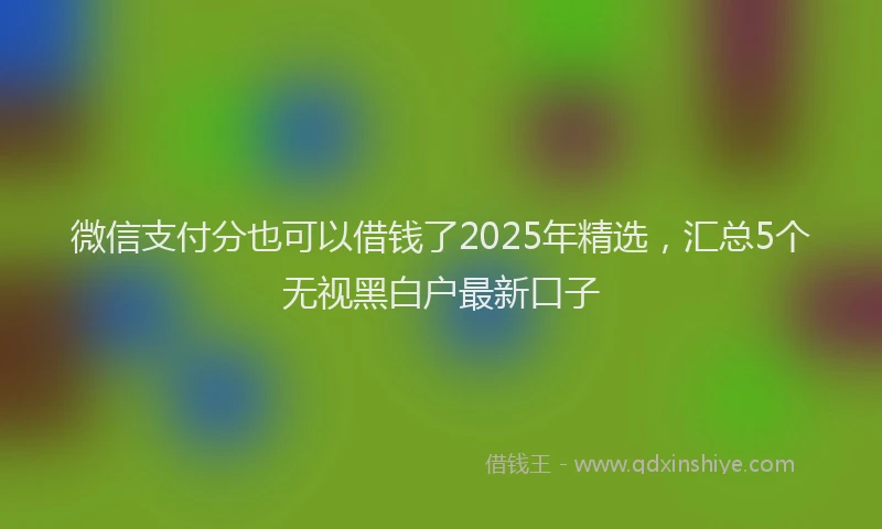 微信支付分也可以借钱了2025年精选，汇总5个无视黑白户最新口子