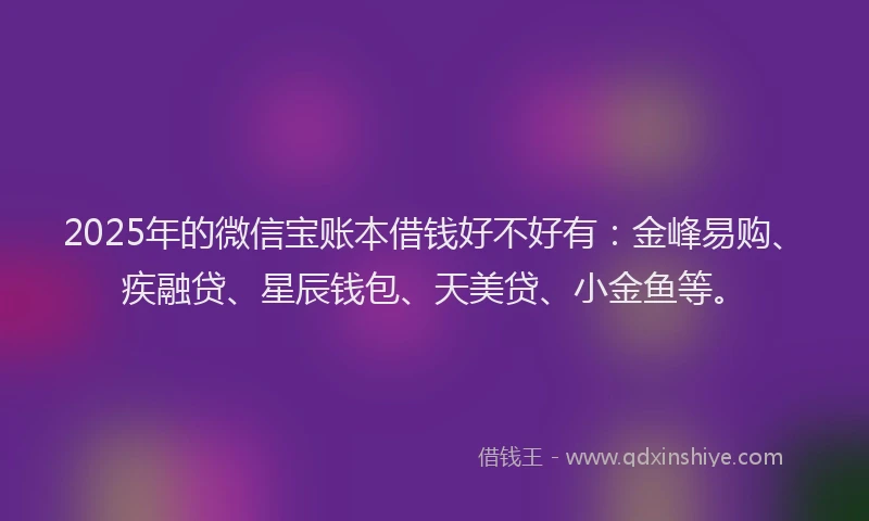 2025年的微信宝账本借钱好不好有：金峰易购、疾融贷、星辰钱包、天美贷、小金鱼等。