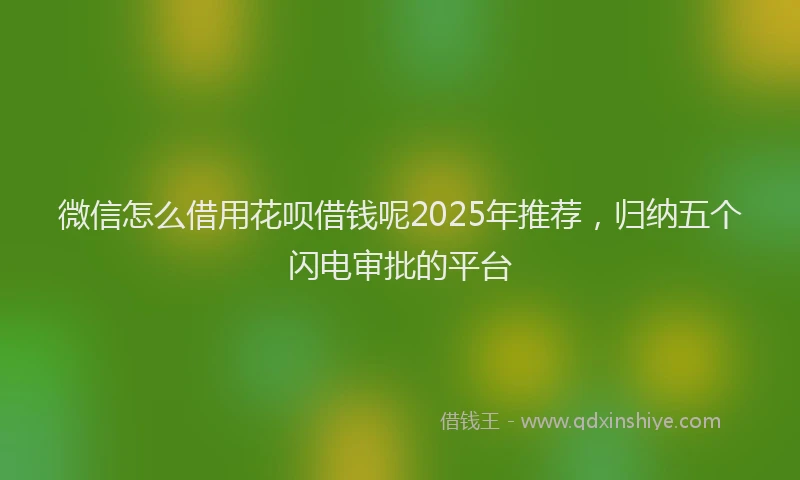 微信怎么借用花呗借钱呢2025年推荐，归纳五个闪电审批的平台