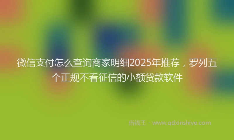 微信支付怎么查询商家明细2025年推荐，罗列五个正规不看征信的小额贷款软件