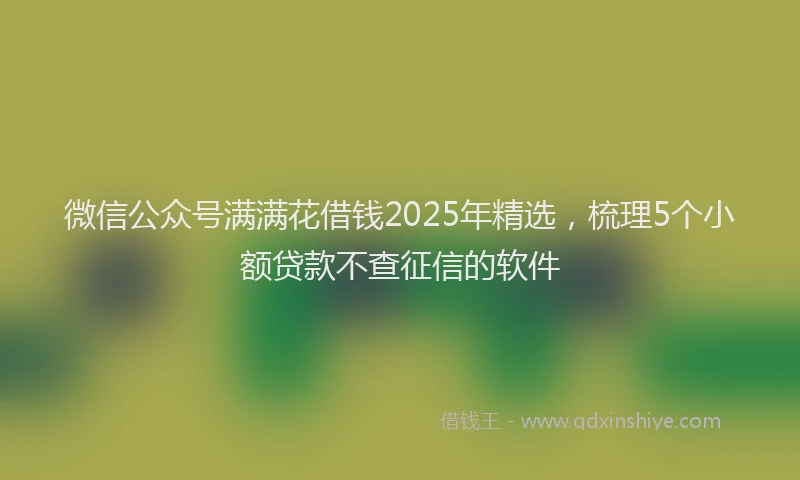 微信公众号满满花借钱2025年精选，梳理5个小额贷款不查征信的软件