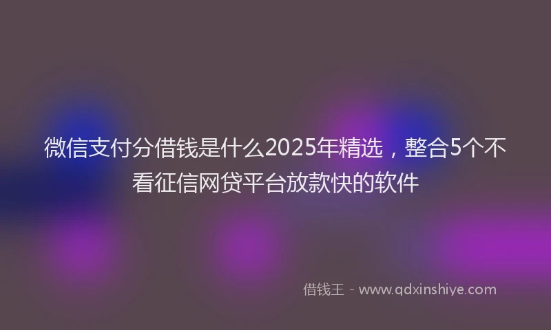 微信支付分借钱是什么2025年精选，整合5个不看征信网贷平台放款快的软件