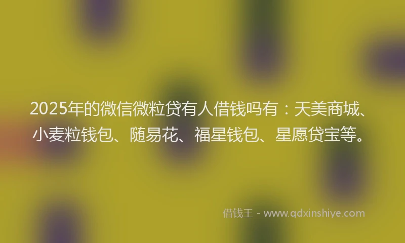2025年的微信微粒贷有人借钱吗有：天美商城、小麦粒钱包、随易花、福星钱包、星愿贷宝等。