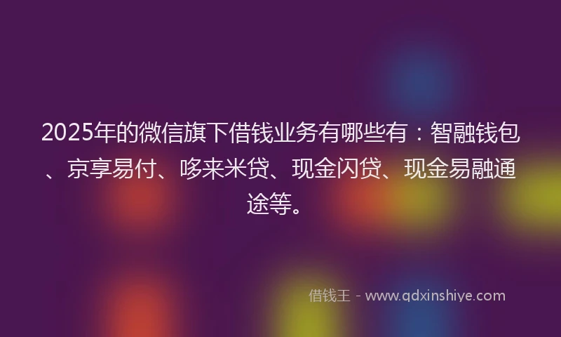 2025年的微信旗下借钱业务有哪些有：智融钱包、京享易付、哆来米贷、现金闪贷、现金易融通途等。