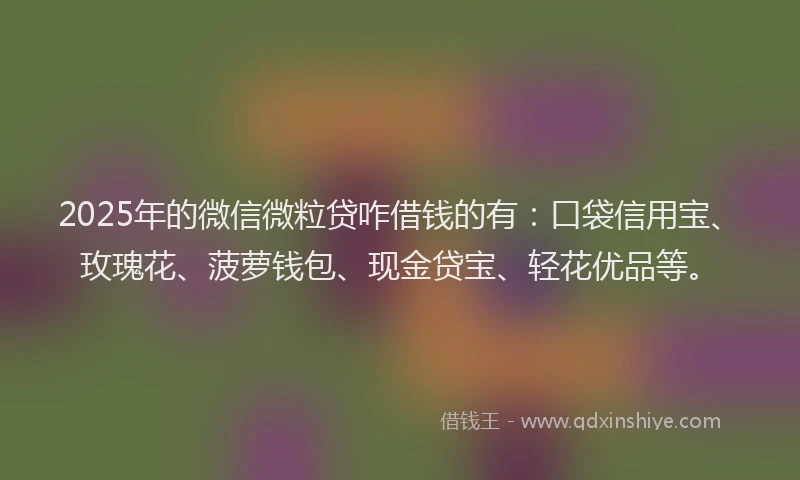 2025年的微信微粒贷咋借钱的有：口袋信用宝、玫瑰花、菠萝钱包、现金贷宝、轻花优品等。