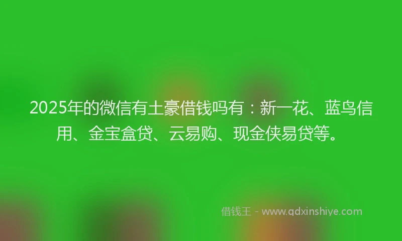 2025年的微信有土豪借钱吗有：新一花、蓝鸟信用、金宝盒贷、云易购、现金侠易贷等。