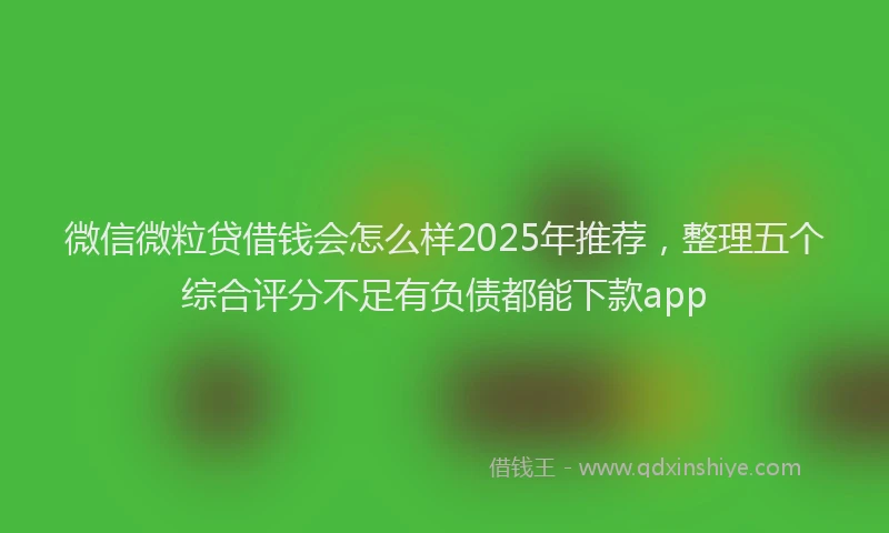 微信微粒贷借钱会怎么样2025年推荐，整理五个综合评分不足有负债都能下款app