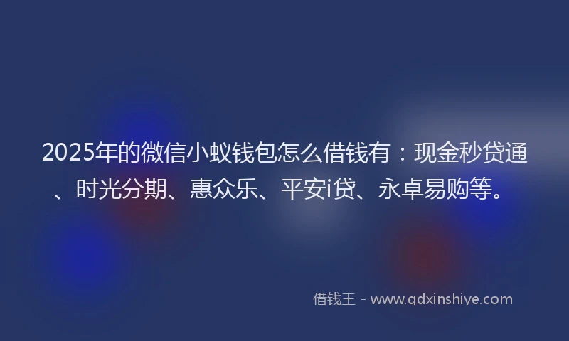 2025年的微信小蚁钱包怎么借钱有：现金秒贷通、时光分期、惠众乐、平安i贷、永卓易购等。