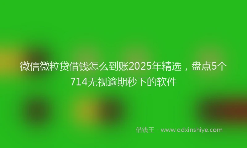 微信微粒贷借钱怎么到账2025年精选，盘点5个714无视逾期秒下的软件