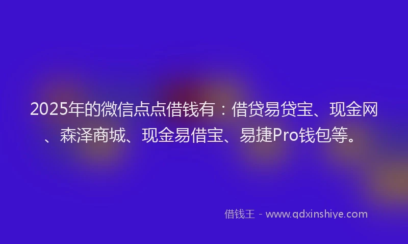 2025年的微信点点借钱有：借贷易贷宝、现金网、森泽商城、现金易借宝、易捷Pro钱包等。