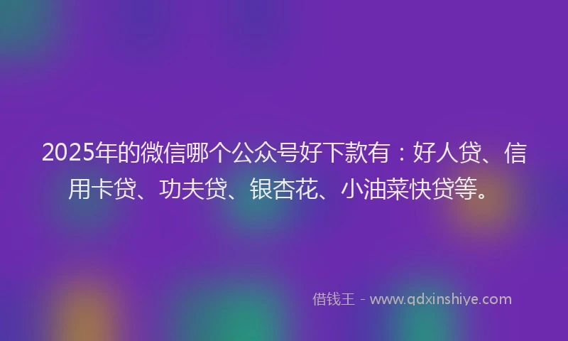2025年的微信哪个公众号好下款有：好人贷、信用卡贷、功夫贷、银杏花、小油菜快贷等。