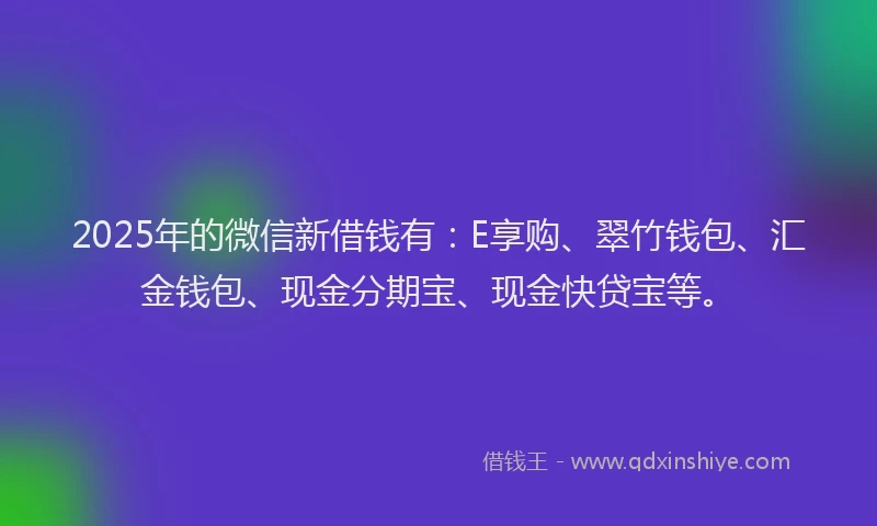 2025年的微信新借钱有：E享购、翠竹钱包、汇金钱包、现金分期宝、现金快贷宝等。