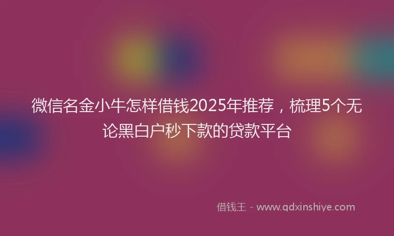 微信名金小牛怎样借钱2025年推荐，梳理5个无论黑白户秒下款的贷款平台