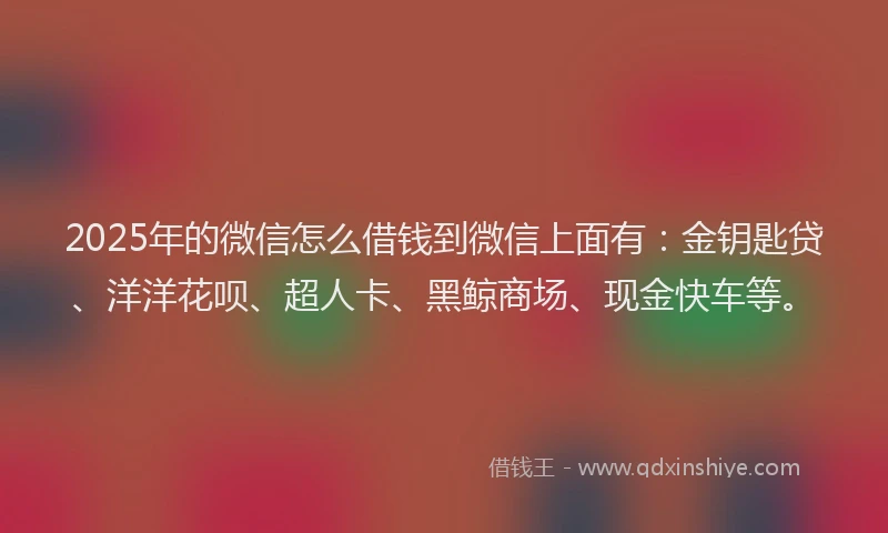 2025年的微信怎么借钱到微信上面有：金钥匙贷、洋洋花呗、超人卡、黑鲸商场、现金快车等。