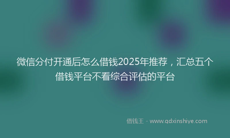 微信分付开通后怎么借钱2025年推荐，汇总五个借钱平台不看综合评估的平台