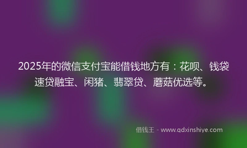 2025年的微信支付宝能借钱地方有：花呗、钱袋速贷融宝、闲猪、翡翠贷、蘑菇优选等。