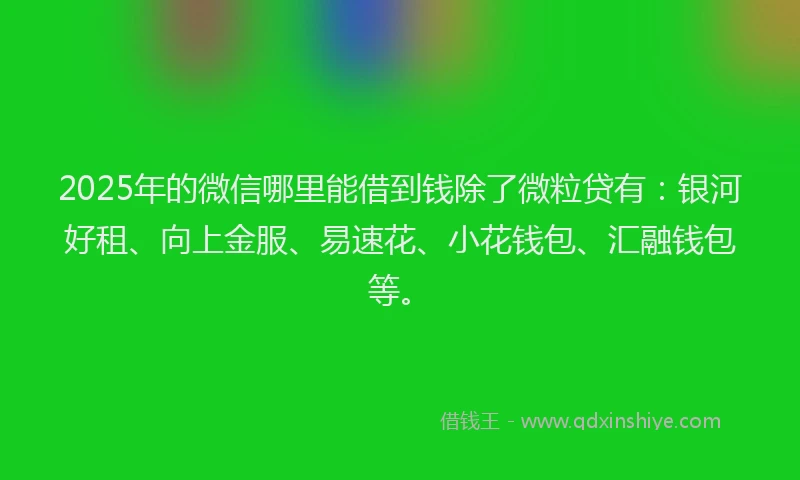 2025年的微信哪里能借到钱除了微粒贷有：银河好租、向上金服、易速花、小花钱包、汇融钱包等。