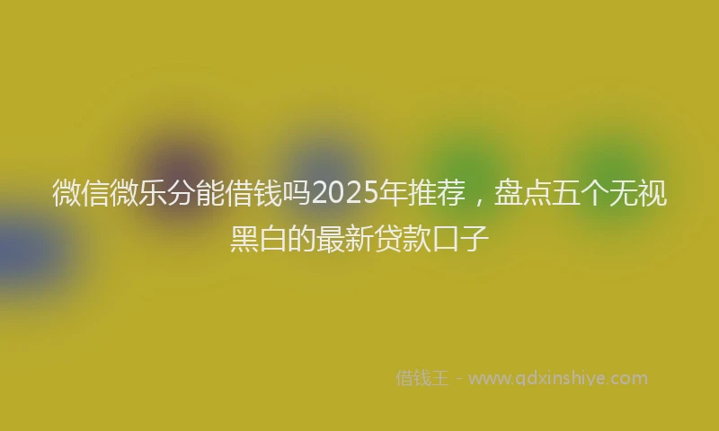 微信微乐分能借钱吗2025年推荐，盘点五个无视黑白的最新贷款口子