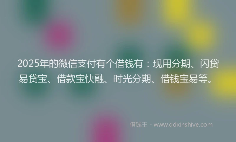 2025年的微信支付有个借钱有：现用分期、闪贷易贷宝、借款宝快融、时光分期、借钱宝易等。