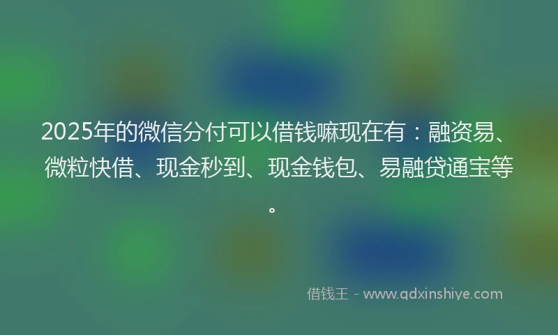 2025年的微信分付可以借钱嘛现在有：融资易、微粒快借、现金秒到、现金钱包、易融贷通宝等。