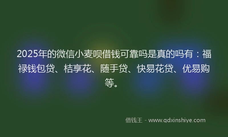 2025年的微信小麦呗借钱可靠吗是真的吗有：福禄钱包贷、桔享花、随手贷、快易花贷、优易购等。