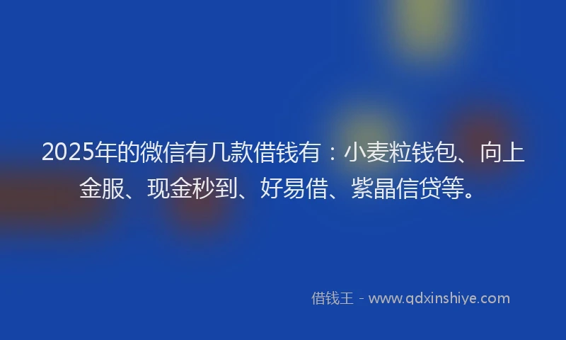 2025年的微信有几款借钱有：小麦粒钱包、向上金服、现金秒到、好易借、紫晶信贷等。
