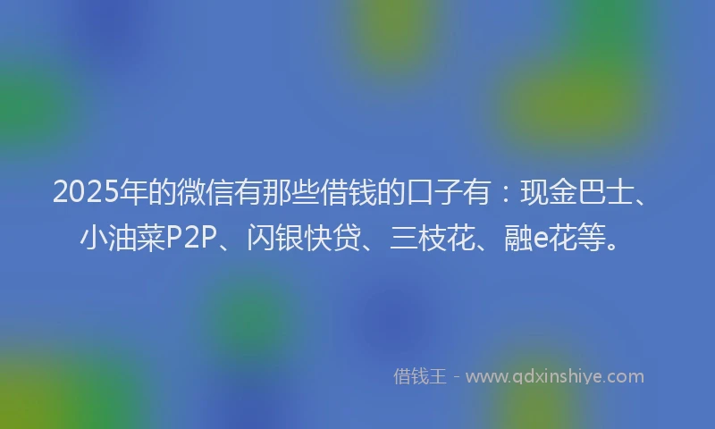 2025年的微信有那些借钱的口子有：现金巴士、小油菜P2P、闪银快贷、三枝花、融e花等。