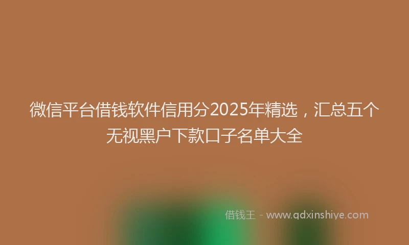 微信平台借钱软件信用分2025年精选，汇总五个无视黑户下款口子名单大全